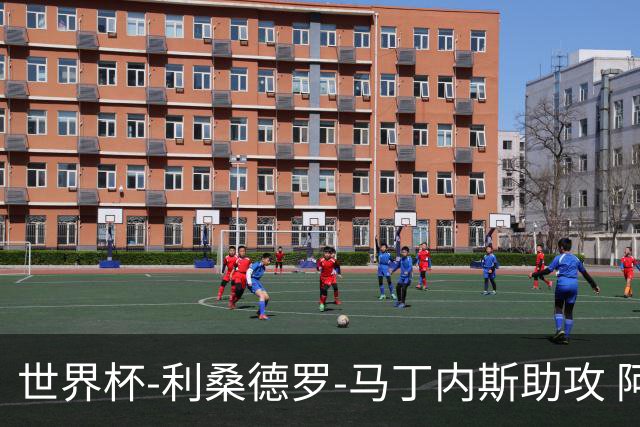 世界杯-利桑德罗-马丁内斯助攻 阿根廷半场暂1-0佛得角