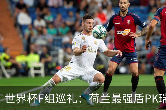 世界杯F组巡礼：荷兰最强盾PK瑞典犀利刀 日本短板明显