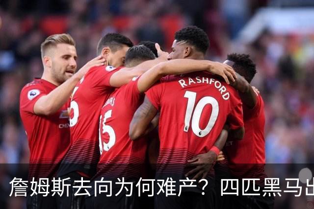 詹姆斯去向为何难产？四匹黑马出现加剧混乱