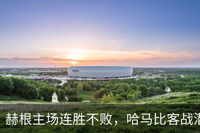 赫根主场连胜不败，哈马比客战潜力不足！
