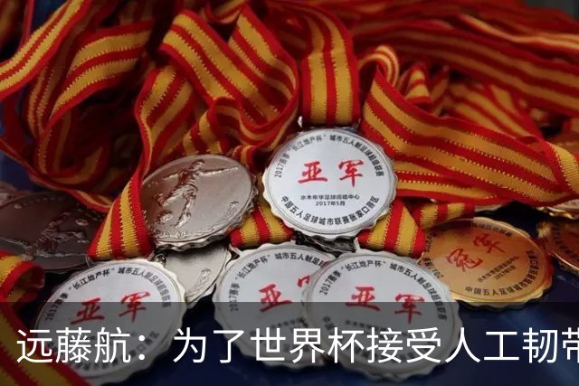 远藤航：为了世界杯接受人工韧带植入手术，现在已经没问题了