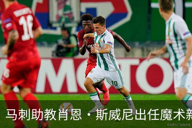 马刺助教肖恩·斯威尼出任魔术新主帅，重建进程加速