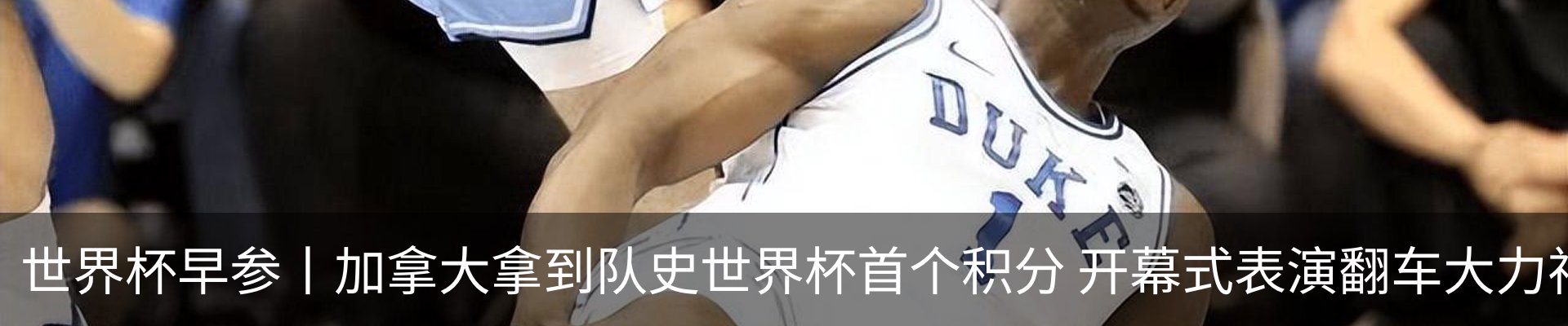 最新动态