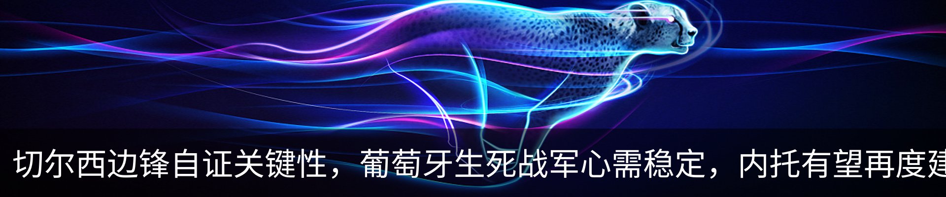 最新动态