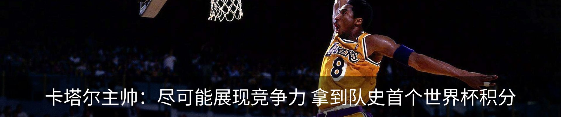 最新动态