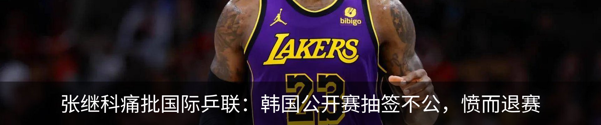 最新动态