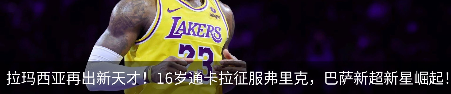 最新动态