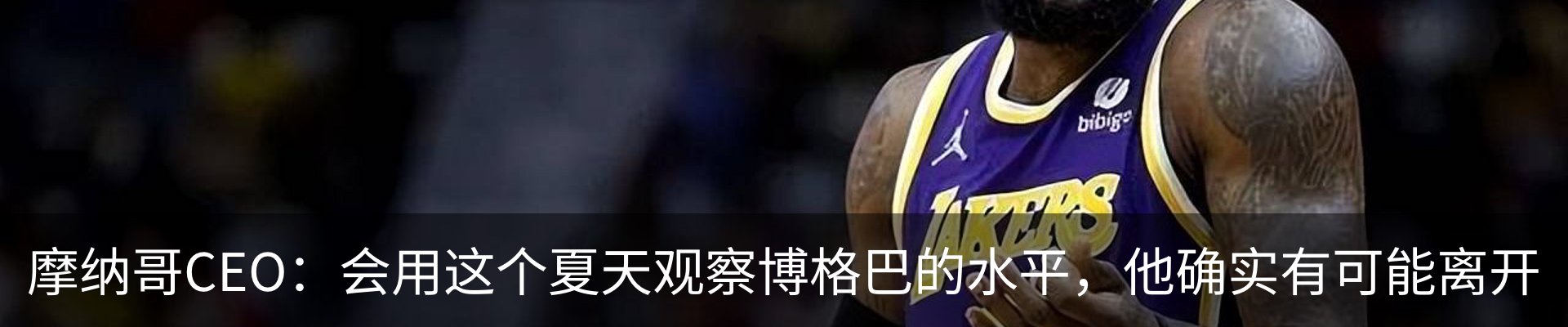 最新动态