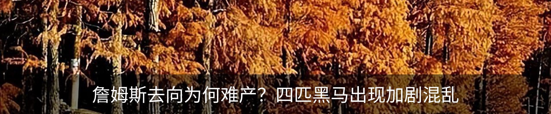最新动态