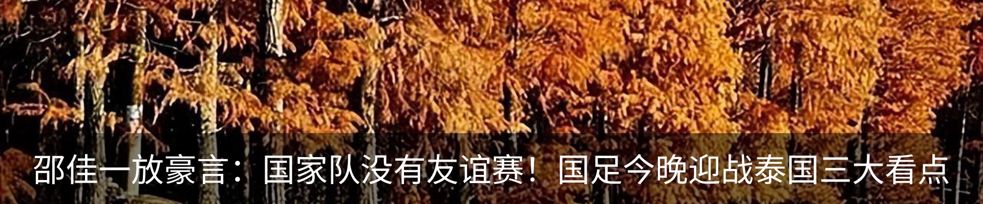 最新动态