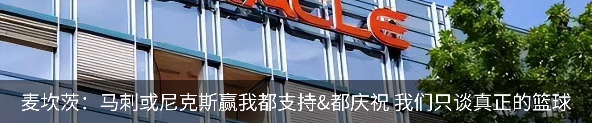 最新动态
