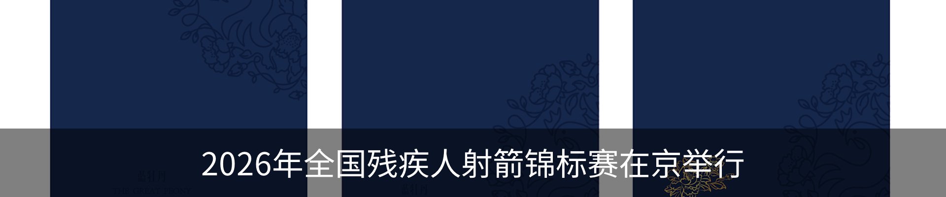 最新动态