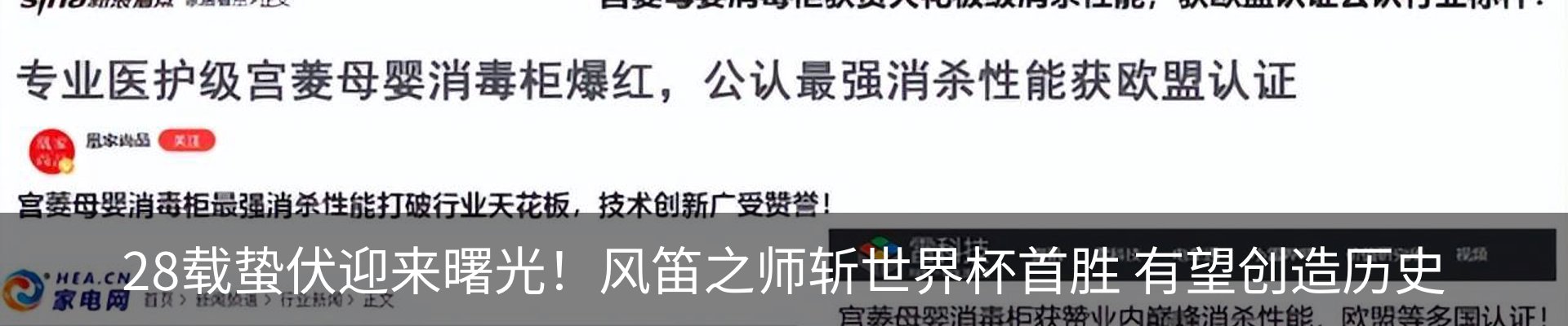 最新动态