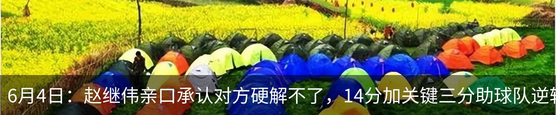 最新动态